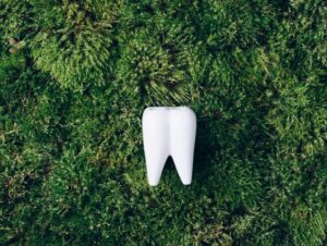 A stylised image of a healthy tooth against an ecological background.