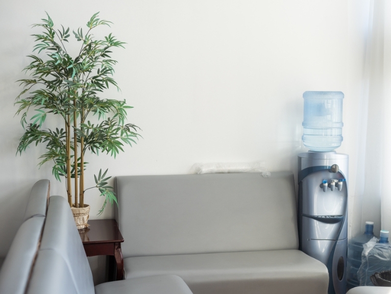 A calm, aesthetically pleasing dental waiting room with a water cooler and pot plant