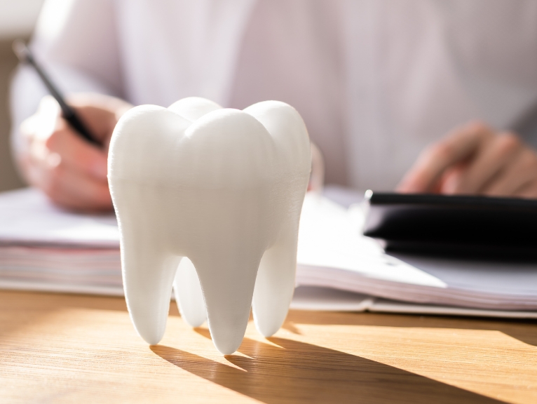private dental costs: Tooth model on a desk beside paperwork and a calculator representing private dental cost considerations