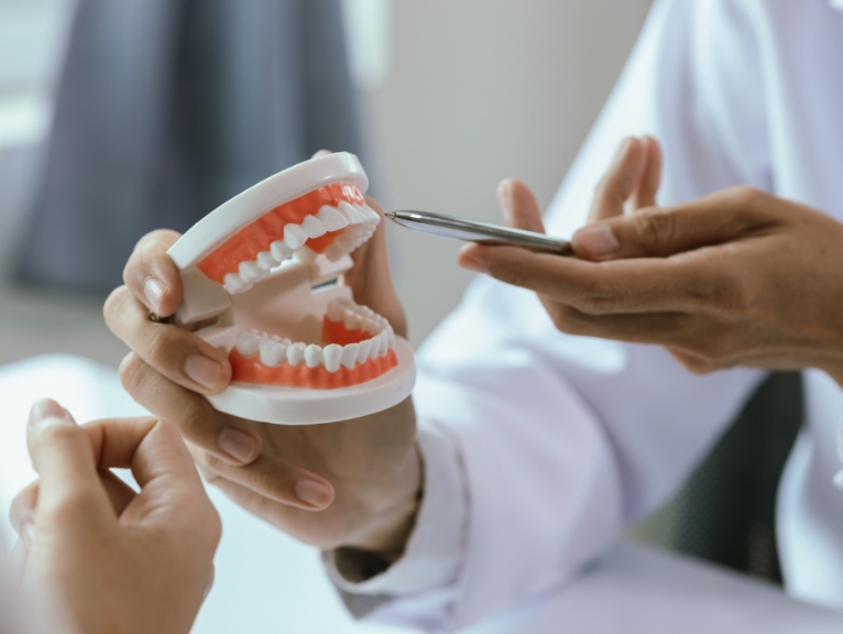 Restorative Dental Materials: Dentist demonstrating a model of teeth and gums with dental tool during consultation.